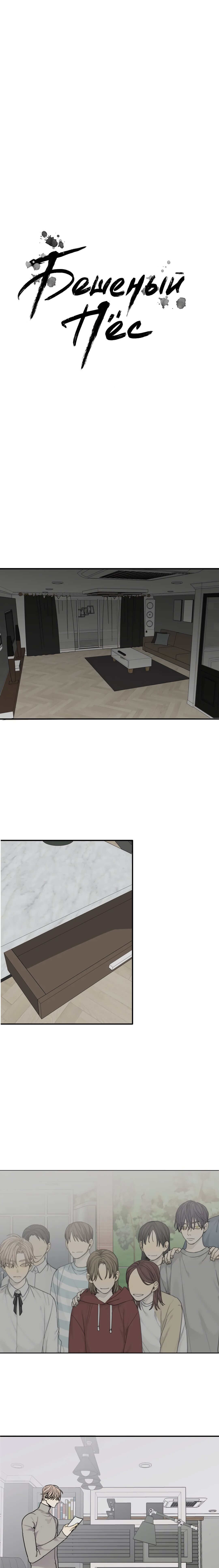 Бешеный пёс Глава 24 Том 2